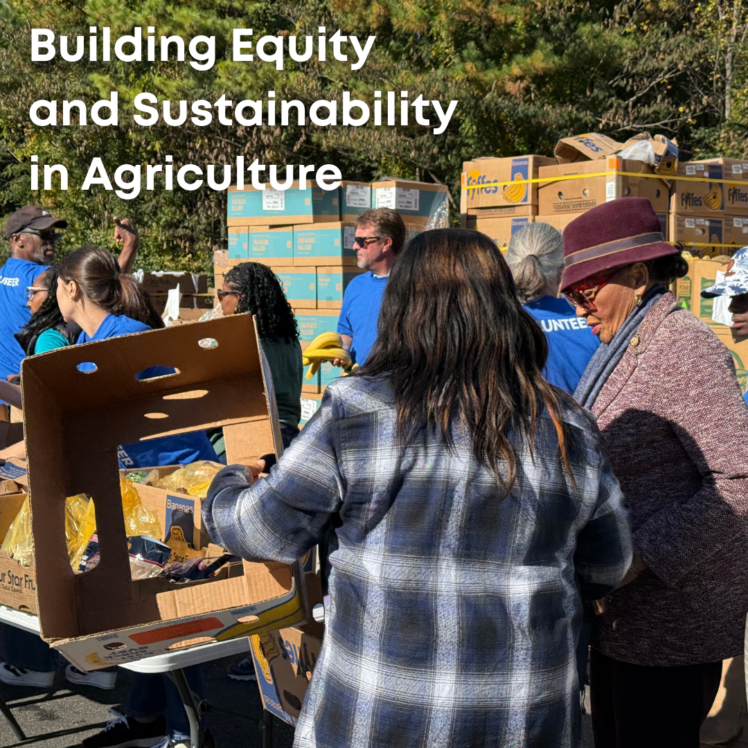 Rep. Adams participates in a food distribution event