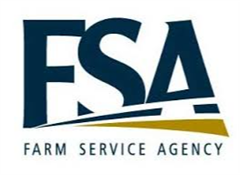 FSA Logo